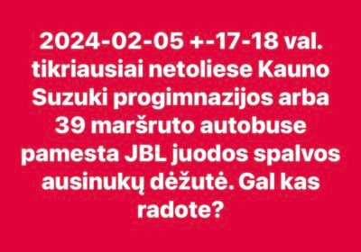 Pamesta JBL ausinių dėžutė