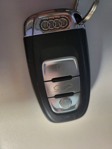 Pamesti Audi a4 rakteliai